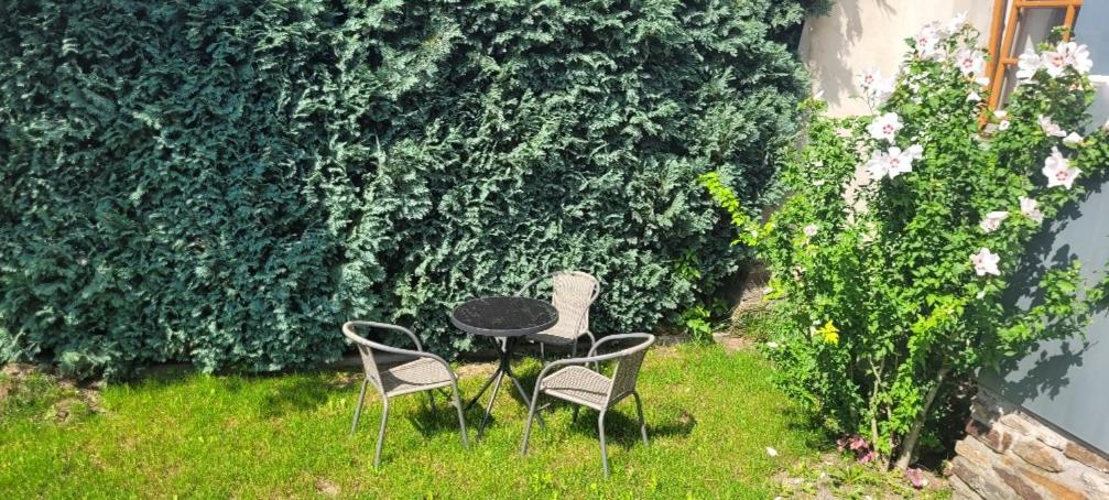 Ferienwohnung Frauenmarkt Schneeberg  Buitenkant foto